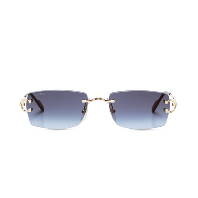 Monochromatic Sunglasses