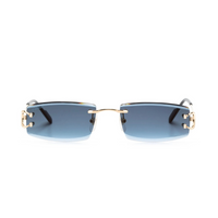 Monochromatic Sunglasses