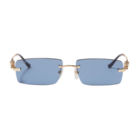 Polychromatic Sunglasses