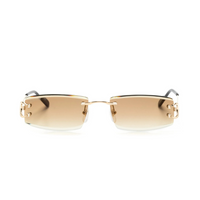 Monochromatic Sunglasses