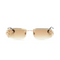 Monochromatic Sunglasses