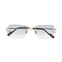 Polychromatic Sunglasses