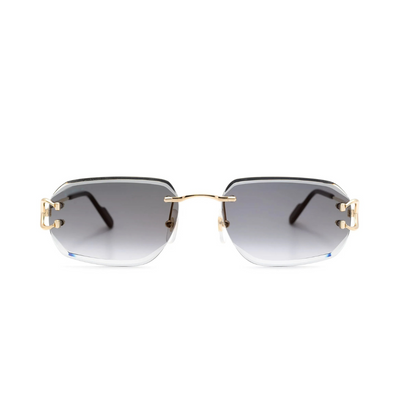 Monochromatic Sunglasses