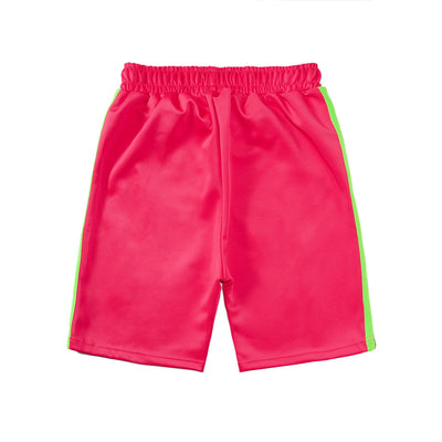 Palm Shorts