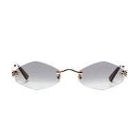 Polychromatic Sunglasses