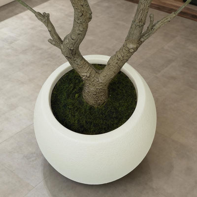 Grischmart™ Artificial Olive Tree for Home Decor | Premium Lifelike Plant