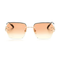 Polychromatic Sunglasses