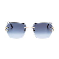 Polychromatic Sunglasses