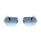 Polychromatic Sunglasses