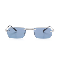 Polychromatic Sunglasses