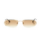 Monochromatic Sunglasses